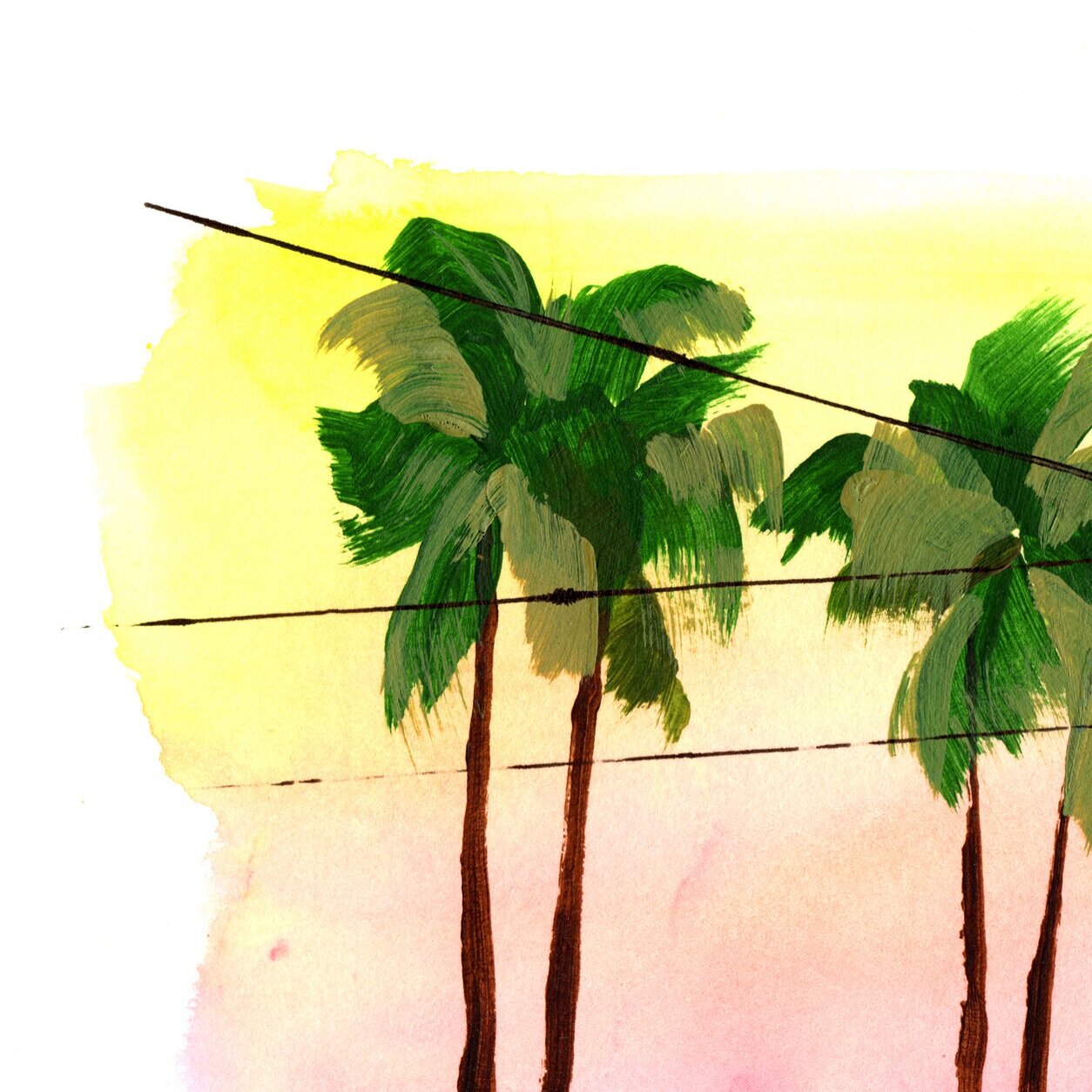 Palm+I.jpg