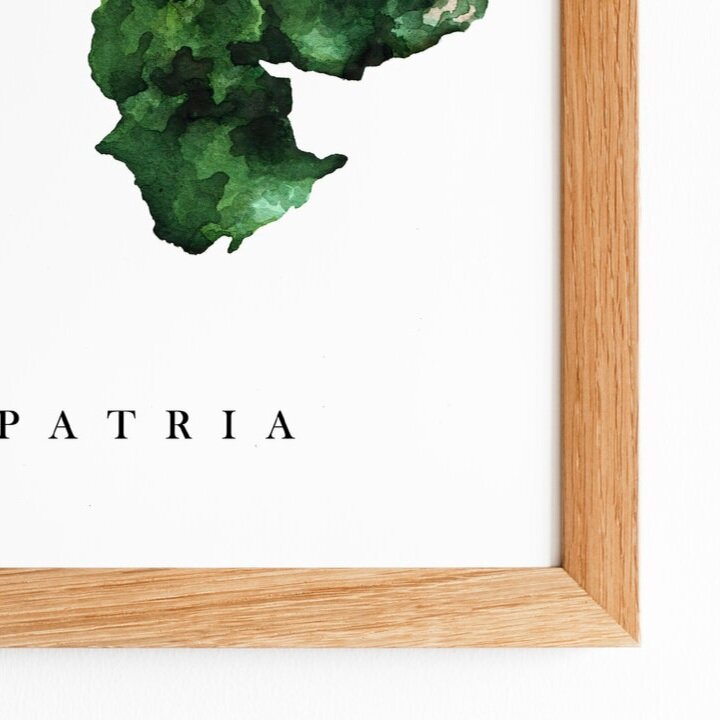 VZ+PATRIA+SIMPLE+MOCKUP.jpg