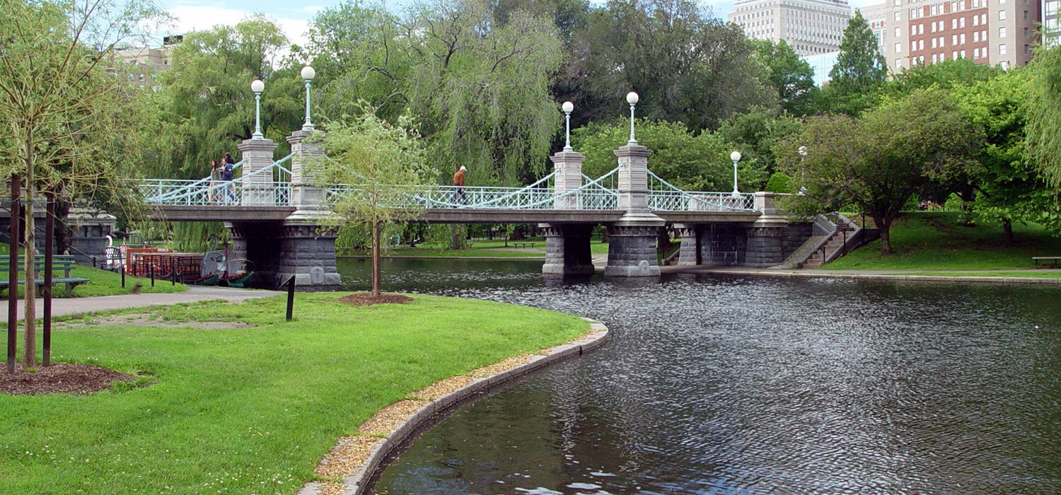 Contact Cynthia Runge — Peridot Family Law LLC