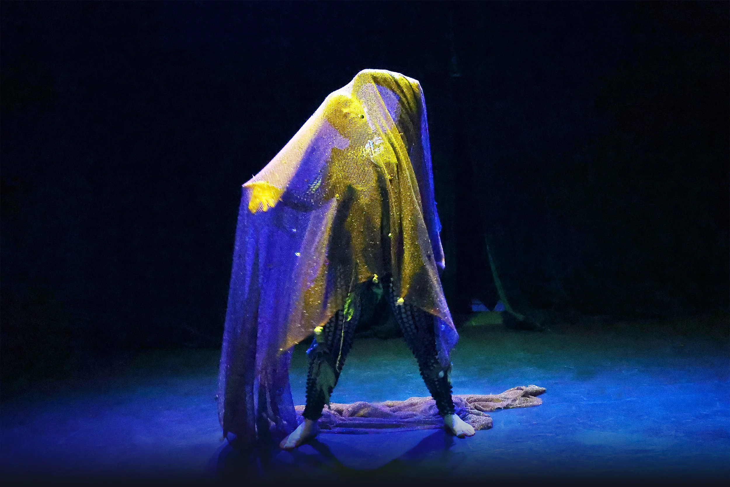 Harvest of Woman, Fertile Ground Festival, 2025