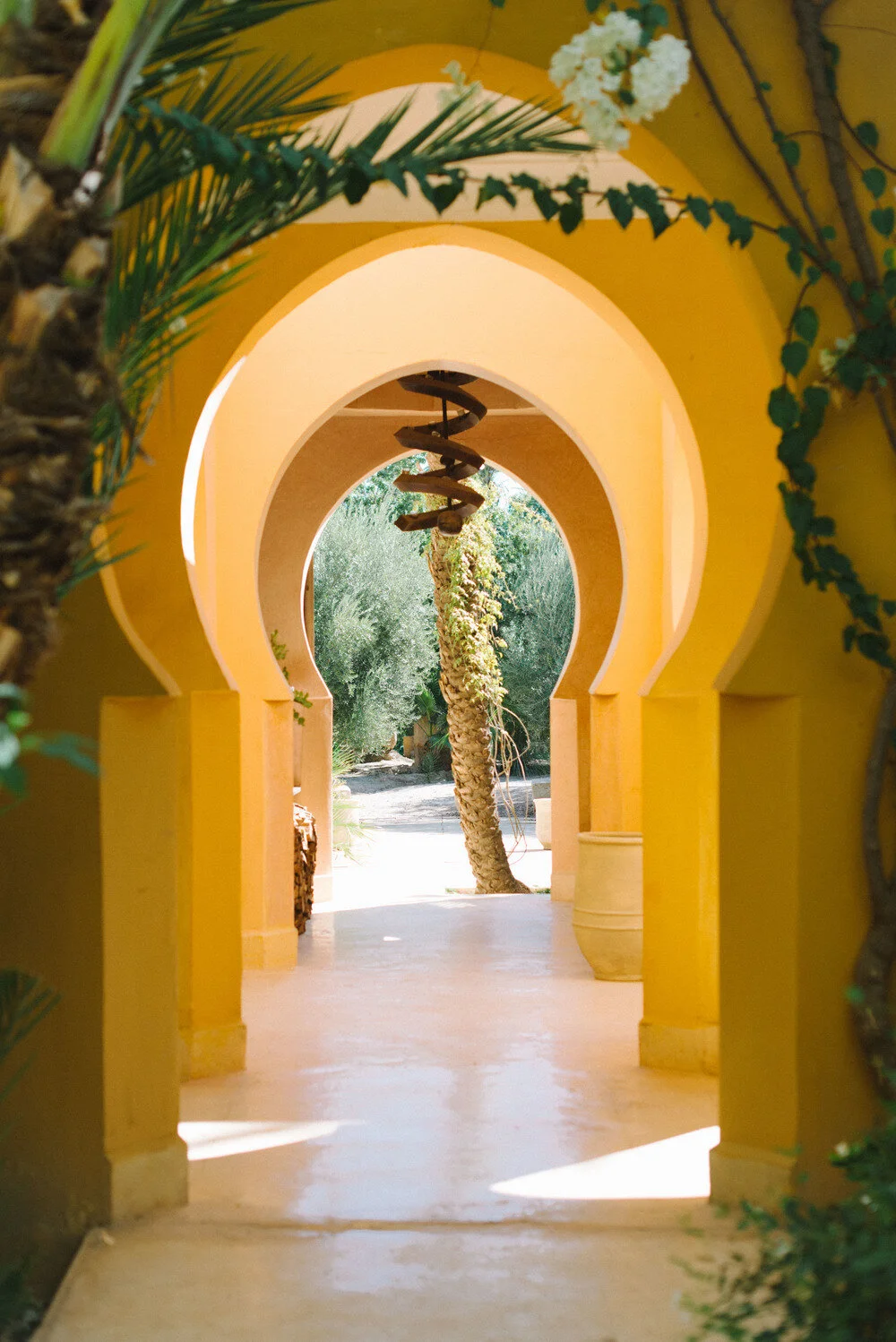 Copy of Jnane-Tamsna-arches-palm-tree.jpeg