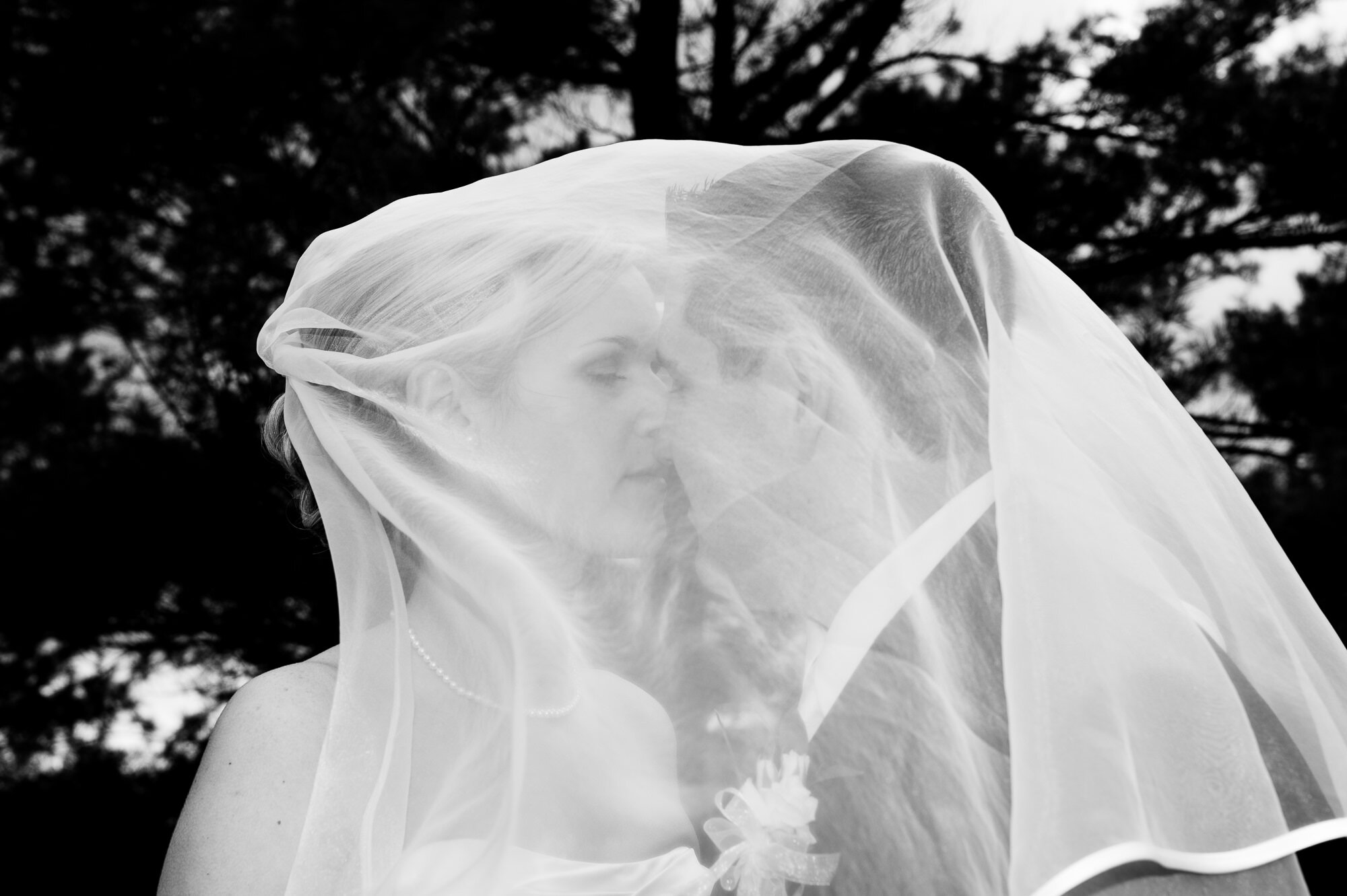 Black and white photo of a couple kissing under a bridal veil, surrounded by trees.