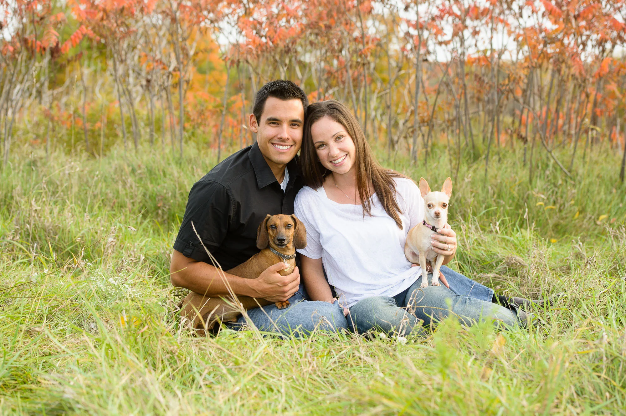 Couple sitting in a grassy field with two small dogs, surrounded by trees with orange autumn leaves.