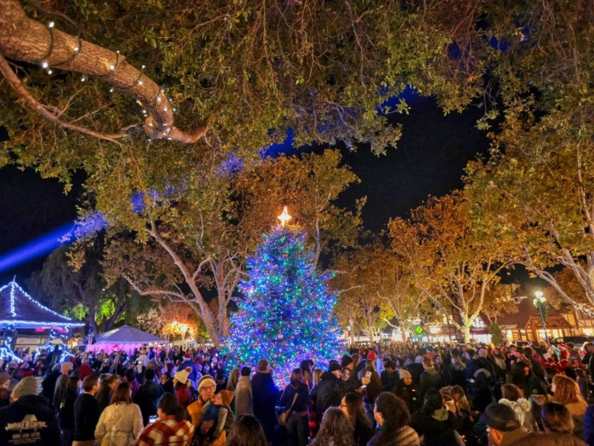 Solvang Tree Lighting Ceremony
