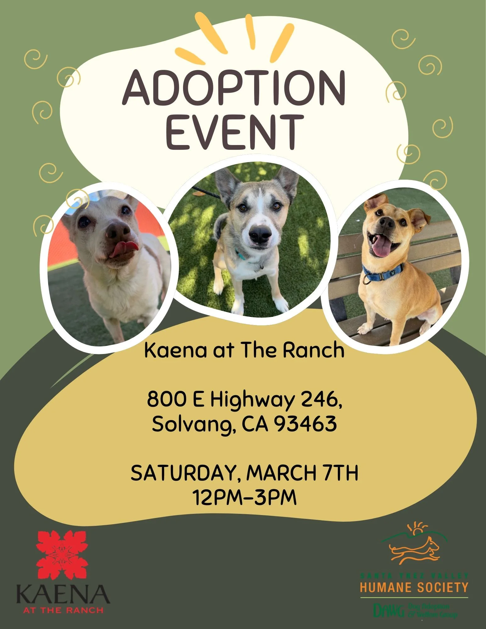 Pet Adoption Event