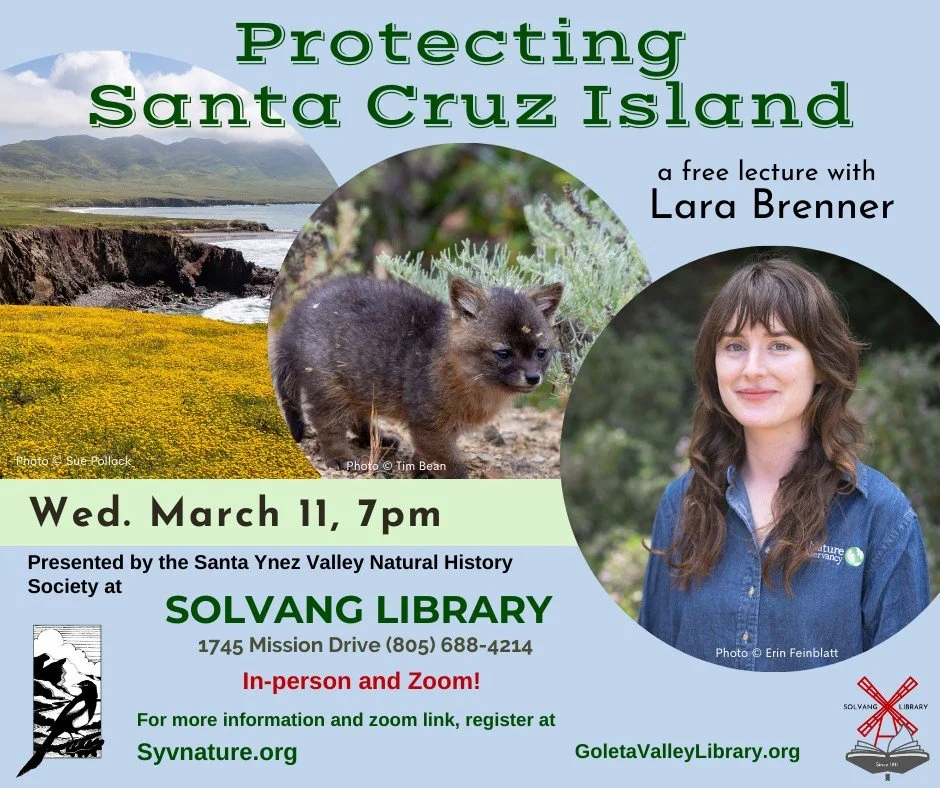 Protecting Santa Cruz Island Lecture