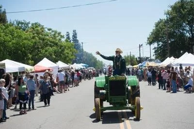 Old Santa Ynez Days