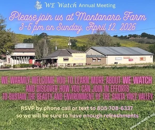 WE Watch Annual Meeting