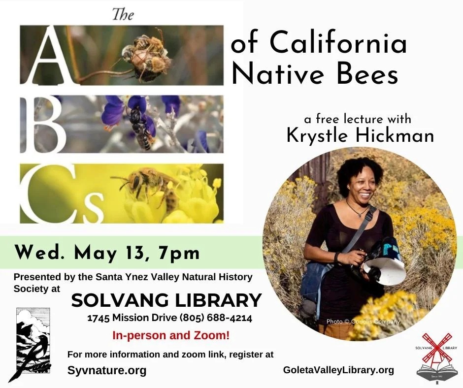 ABC's of CA Native Bees