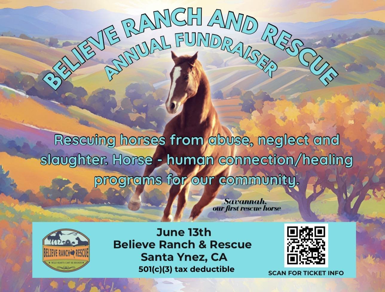 Believe Ranch & Rescue Annual Fundraiser