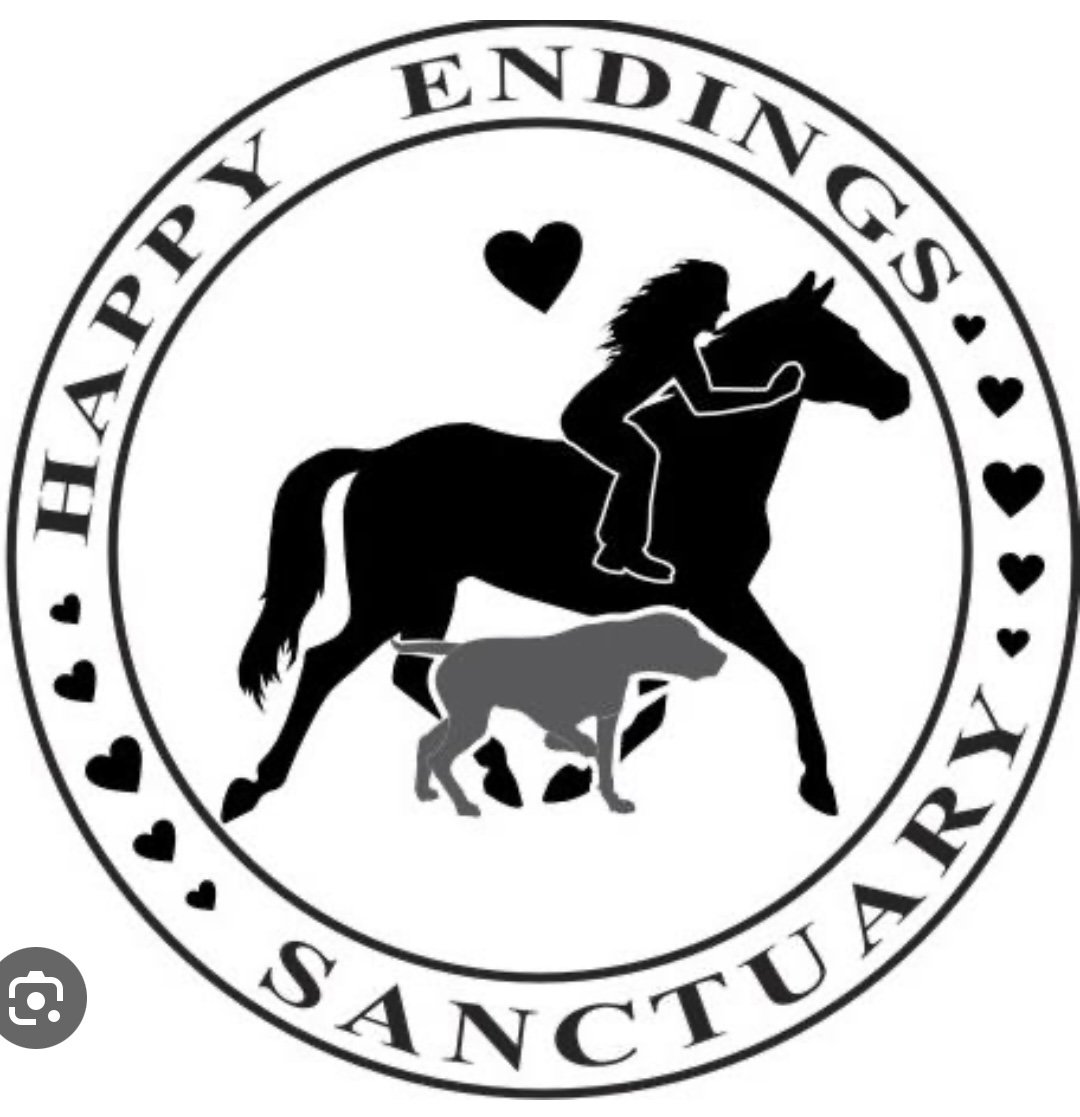 Spaghetti Western - Happy Endings