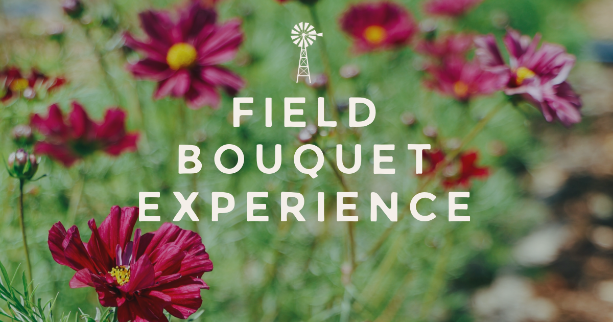 Field Bouquet Experience