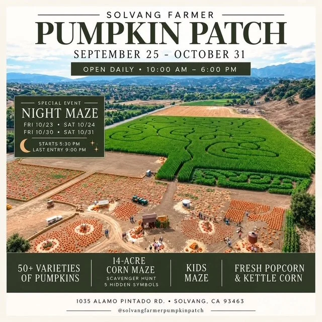 Night Corn Maze - Solvang Farmer Pumpkin Patch 