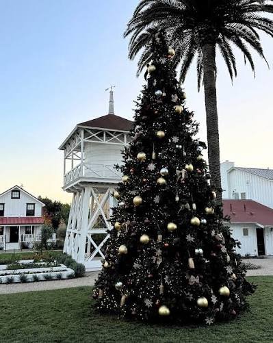Mattei's Annual Tree Lighting