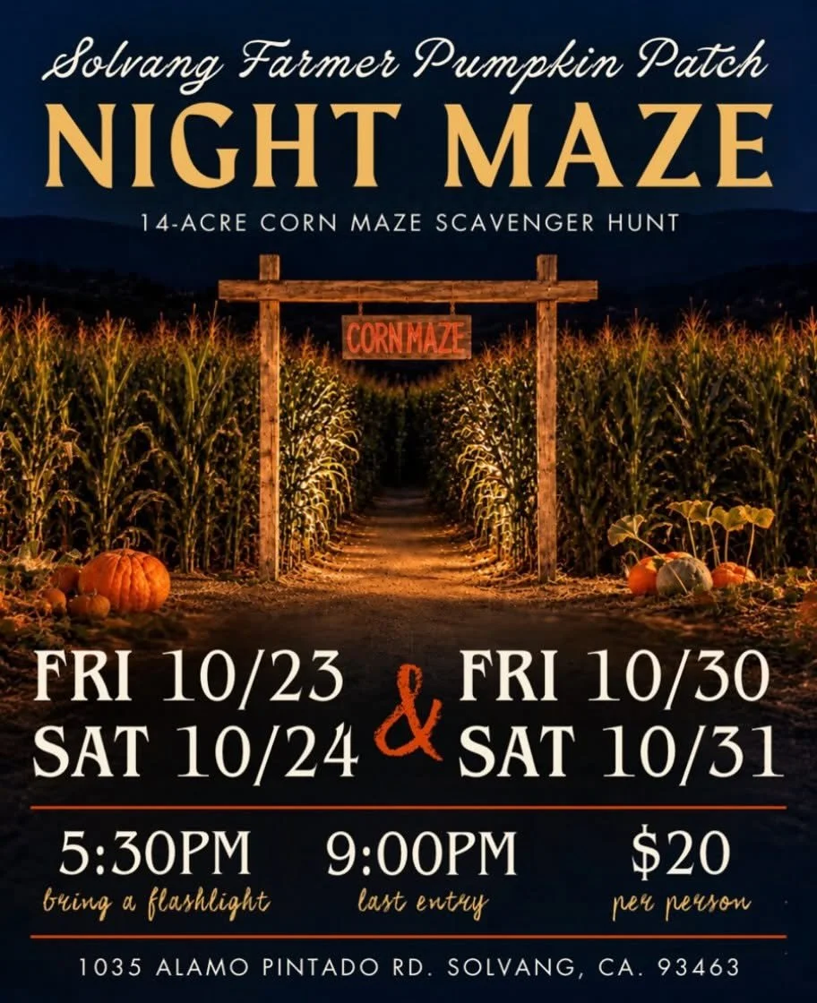 Night Corn Maze - Solvang Farmer Pumpkin Patch 
