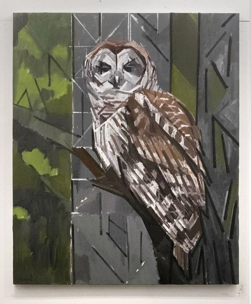 Barred Owl, 36 x 30", oil on linen on panel, 2025. $4,200