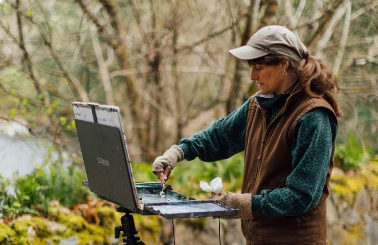 Highlights & Updates