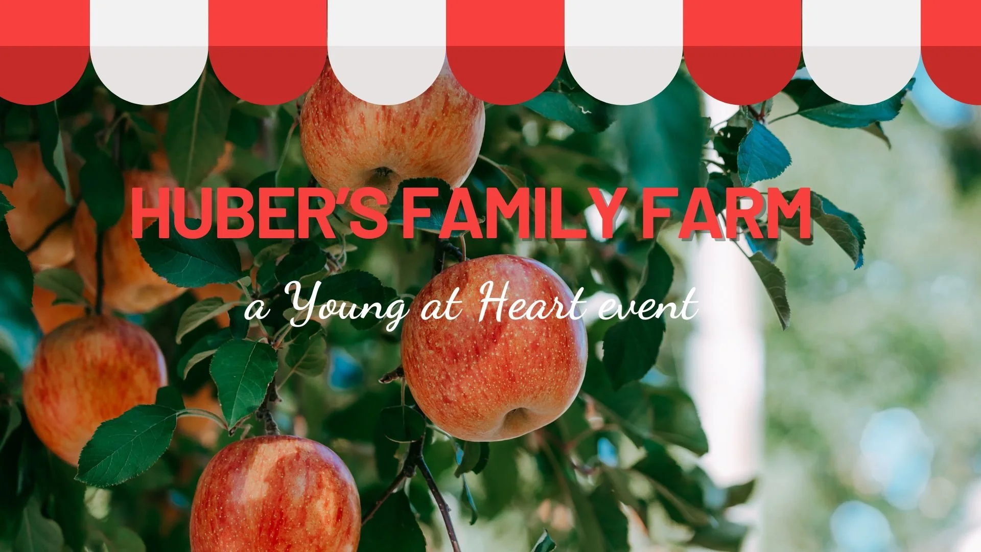 Huber's Family Farm: Young at Heart Event