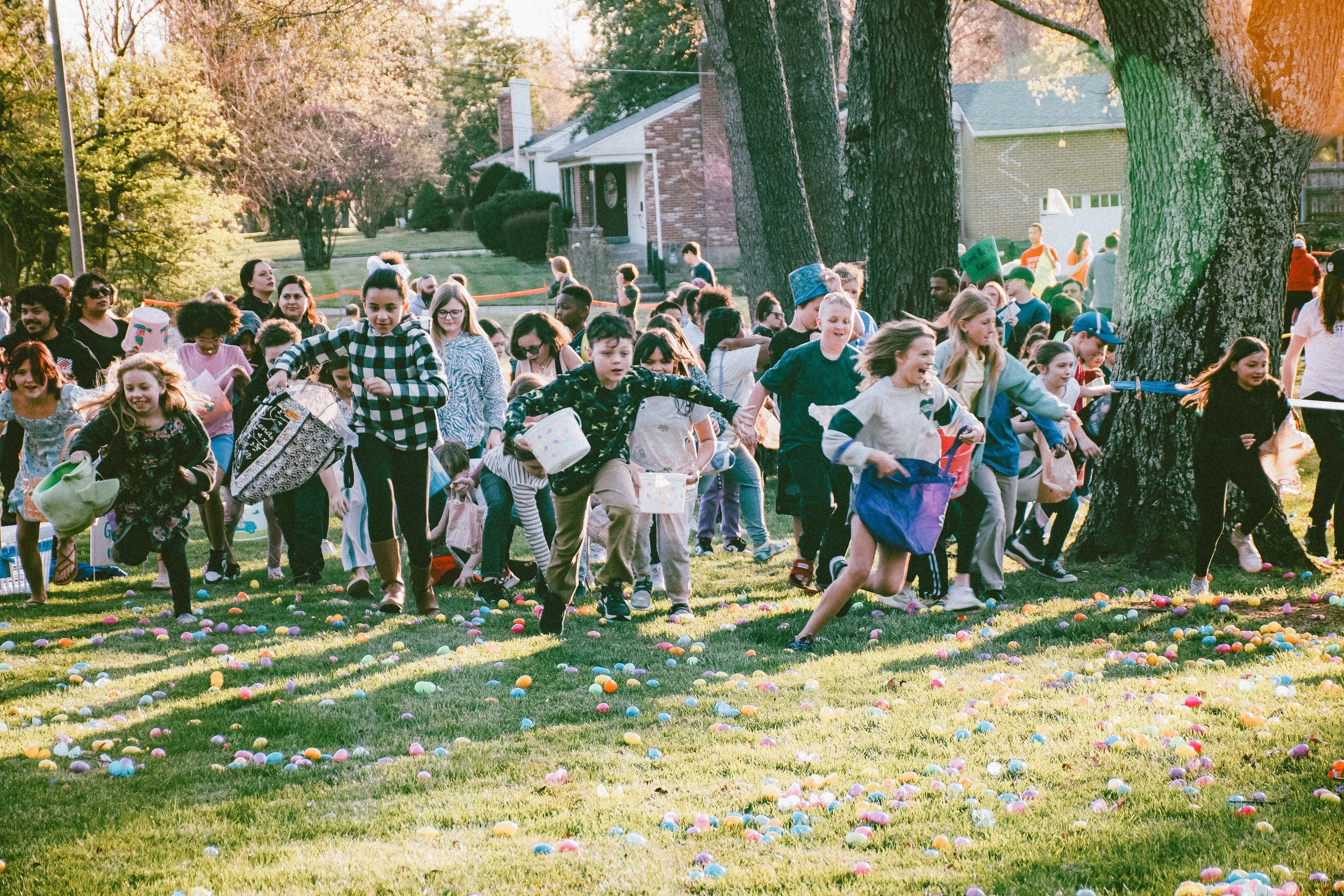 Egg hunt.jpeg