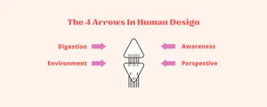 How to Interpret and Apply the Arrows in Human Design — HI*DEF