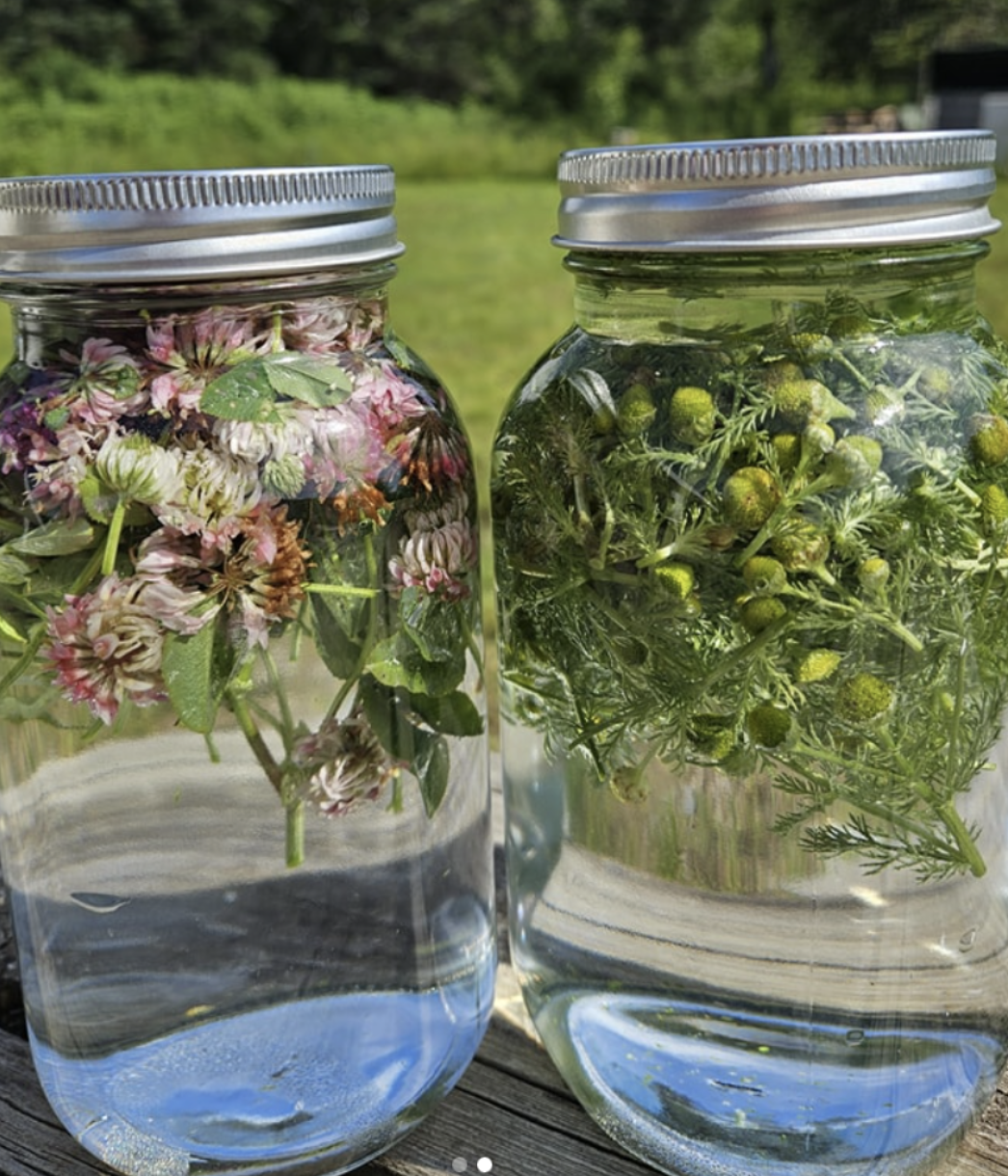 Herbal Infusions: Simple, Deep Nourishment from the Earth