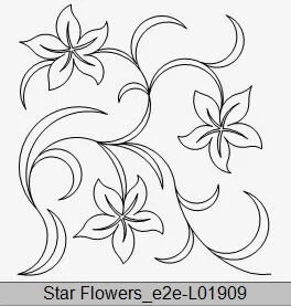 Star Flowers_E2E-L01909.JPG