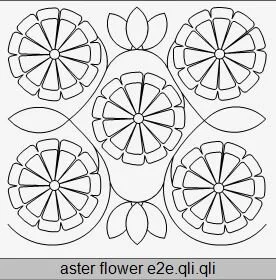 Aster Flower E2E.JPG