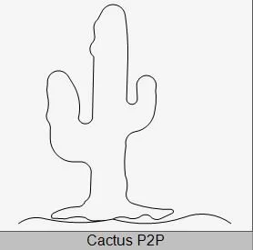 Cactus P2P.JPG