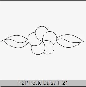 P2P Petite Daisy 1_21.JPG