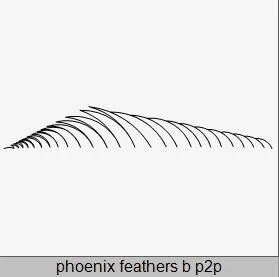 Phoenix Feathers b P2P.JPG