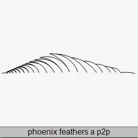 Phoenix Feathers a P2P.JPG