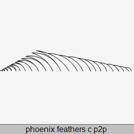 Phoenix Feathers c P2P.JPG