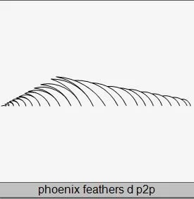 Phoenix Feathers d P2P.JPG