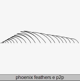 Phoenix Feathers e P2P.JPG