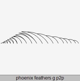 Phoenix Feathers g P2P.JPG