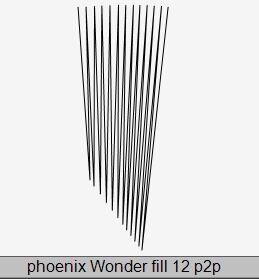 Phoenix Wonder Fill 12 P2P.JPG