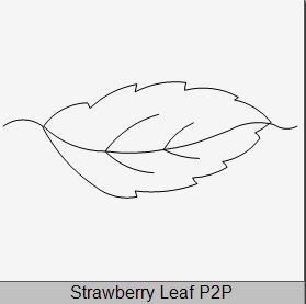 Strawberry Leaf P2P.JPG