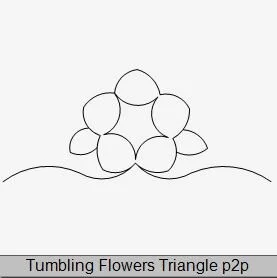Tumbling Flowers Triangle P2P.JPG