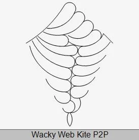 Wacky Web Kite P2P.JPG