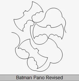 Batman Pano Revised.JPG