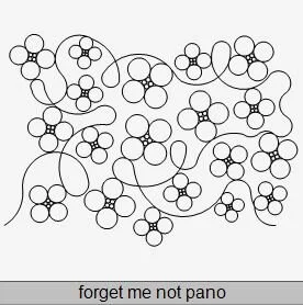 Forget me knot Pano.JPG