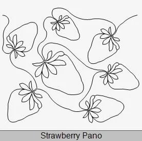 Strawberry Pano.JPG