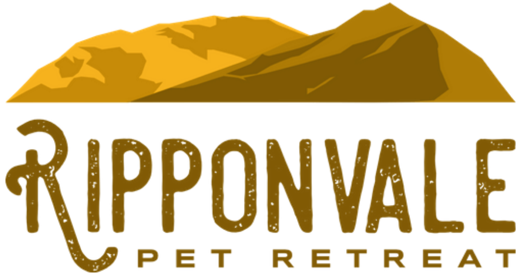 Untitled design (1).png