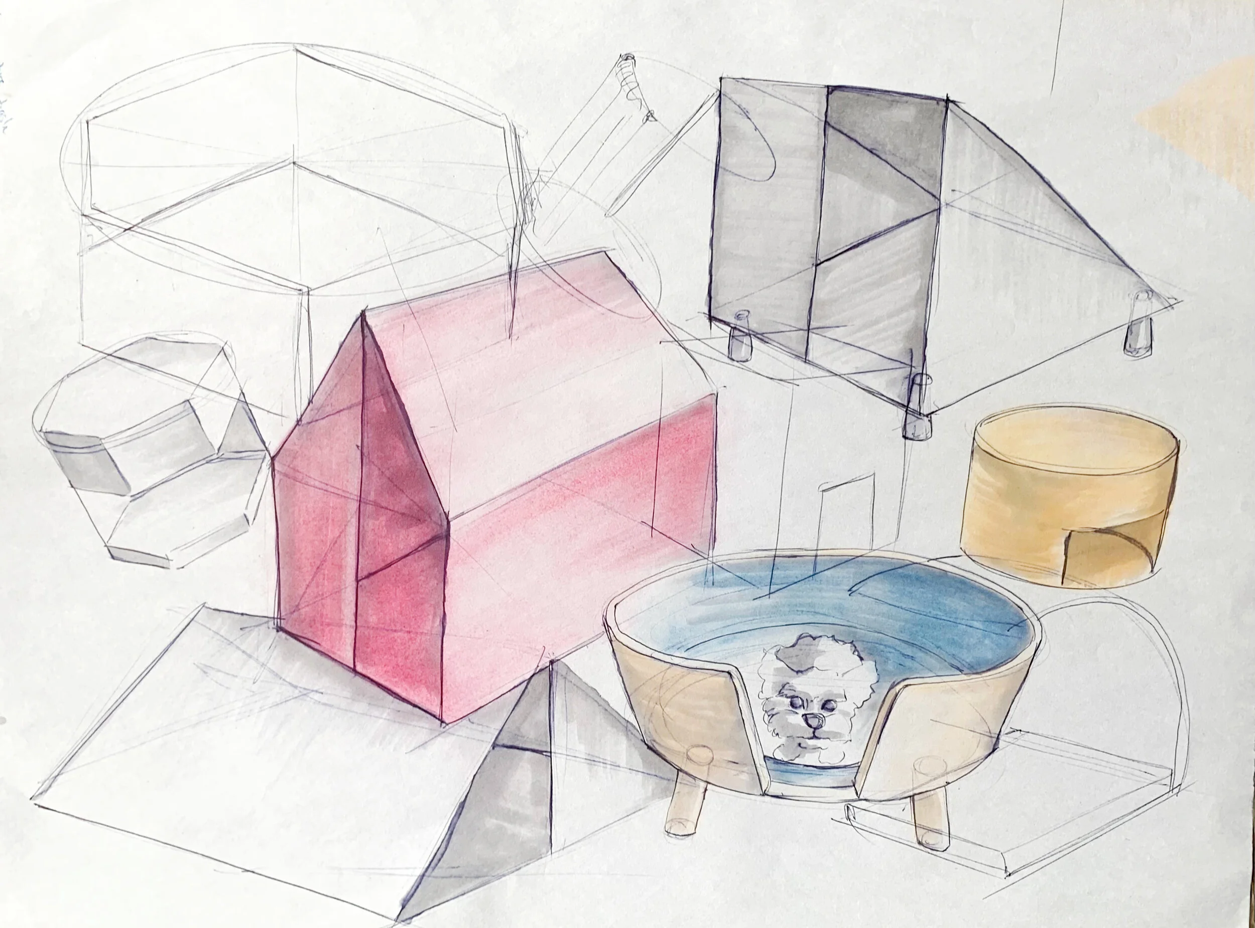 sustainability 3.jpg