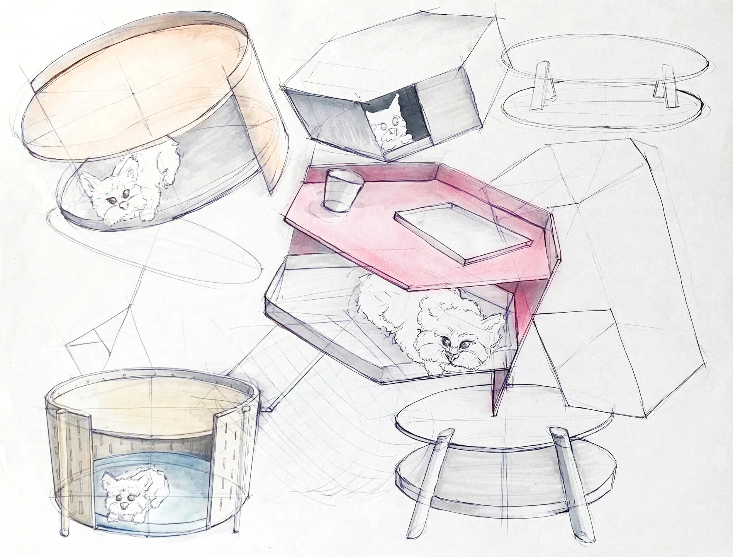 Sustainability 6.jpg