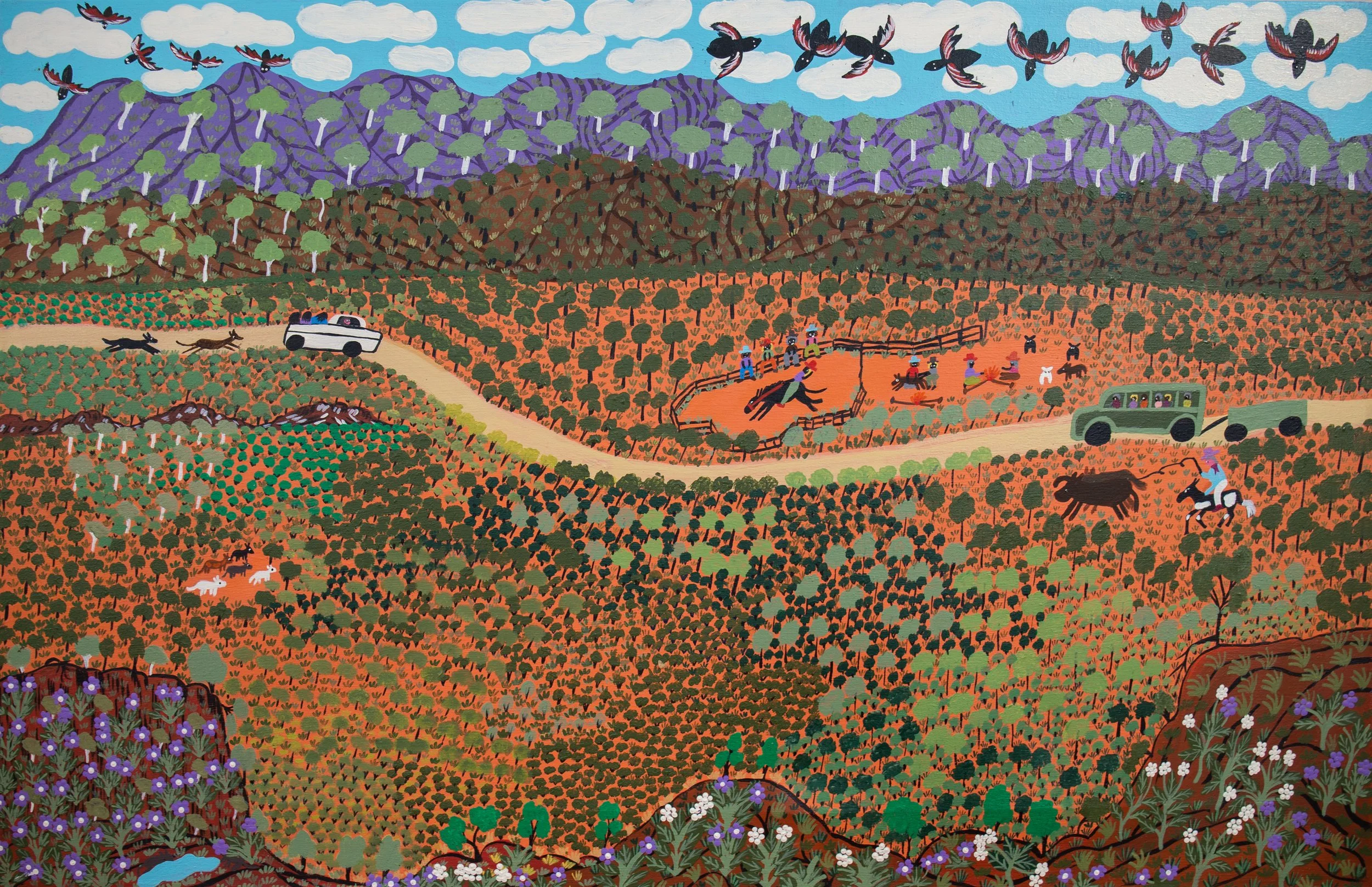 Marjorie Williams / Illararri
