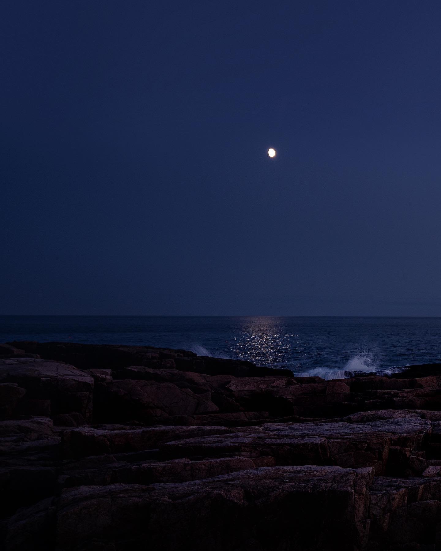 Otter Point, Acadia National Park, August 2023 
🌕🦦☀️