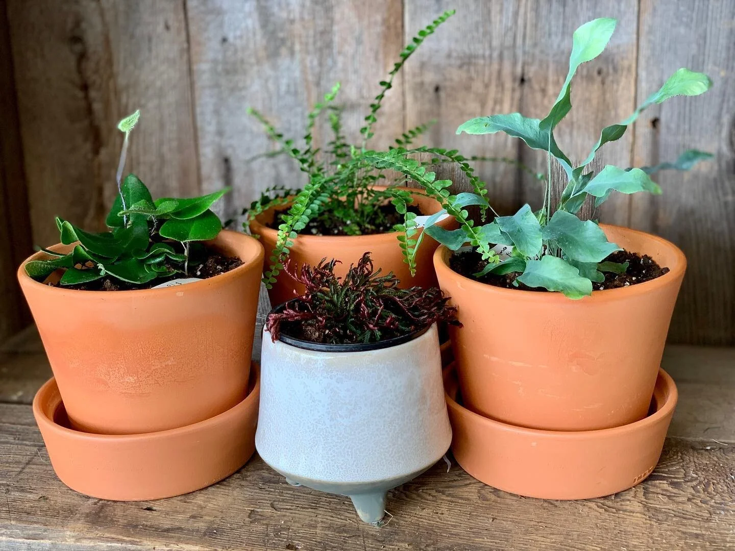 Gallery 3 — Little Arrow Furnishment