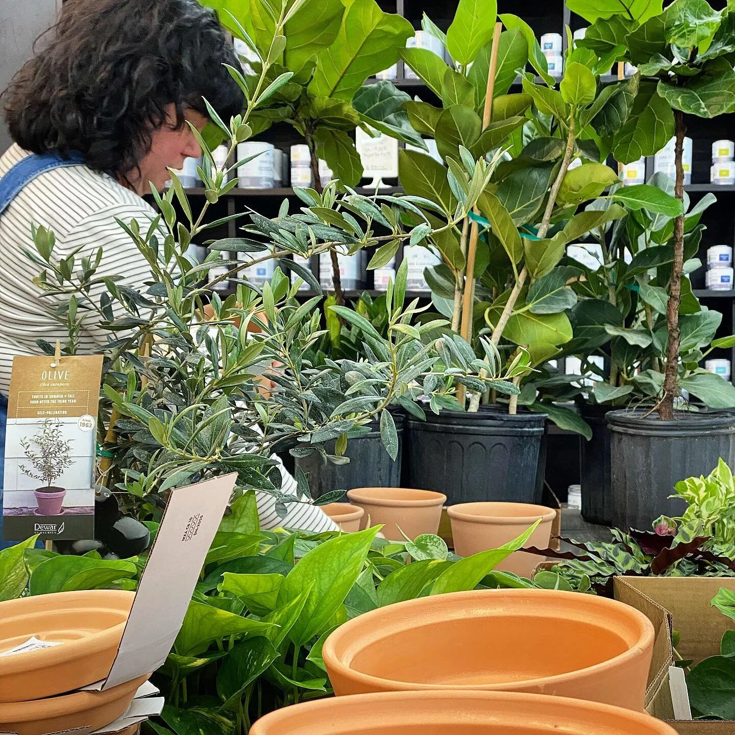 Gallery 3 — Little Arrow Furnishment