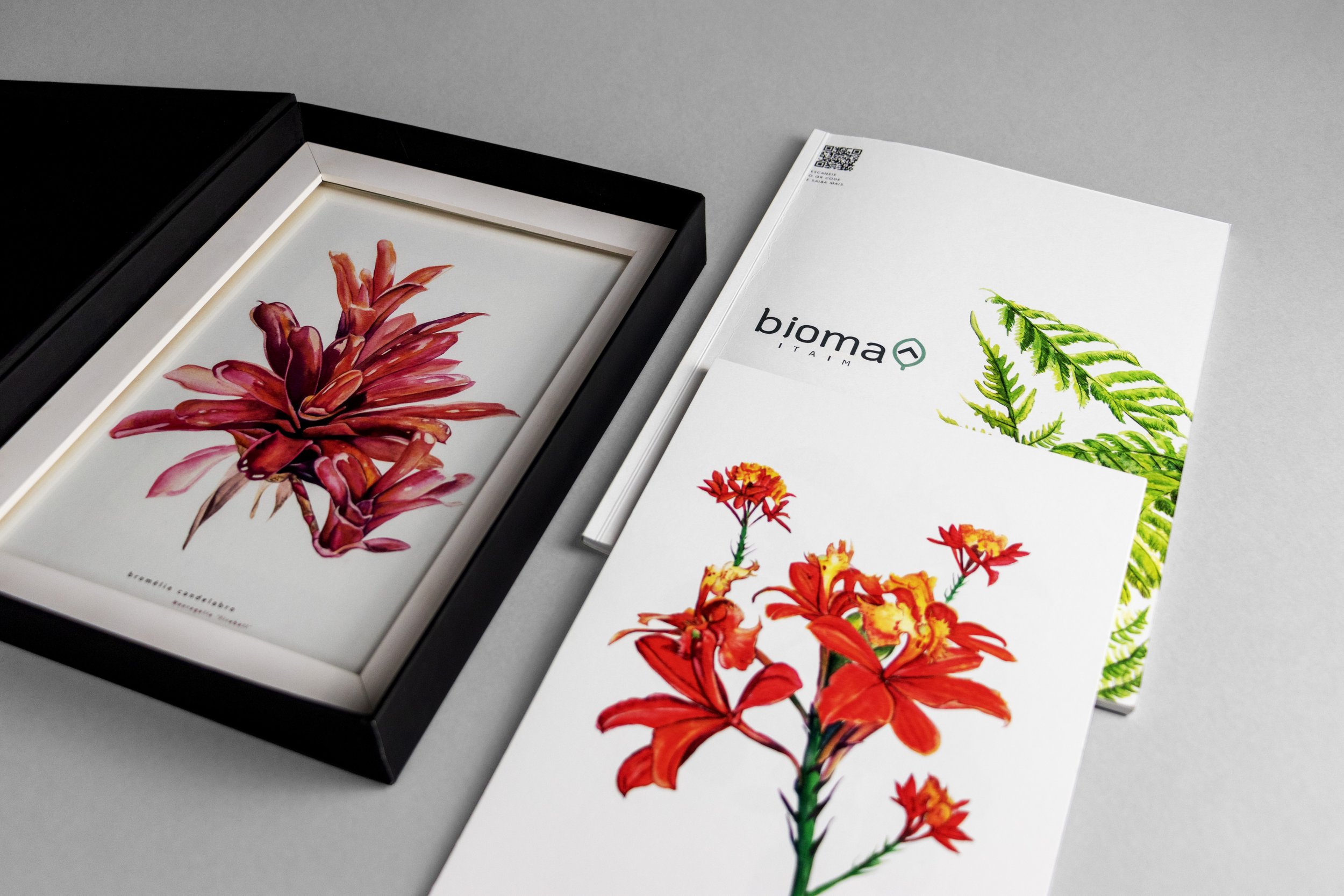 BIOMA-montagem.jpg